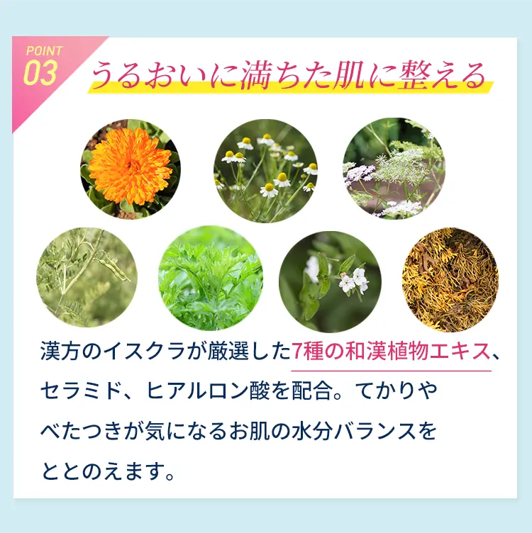 イスクラファージ Skin Balance 薬用化粧水120ml— イスクラファージ